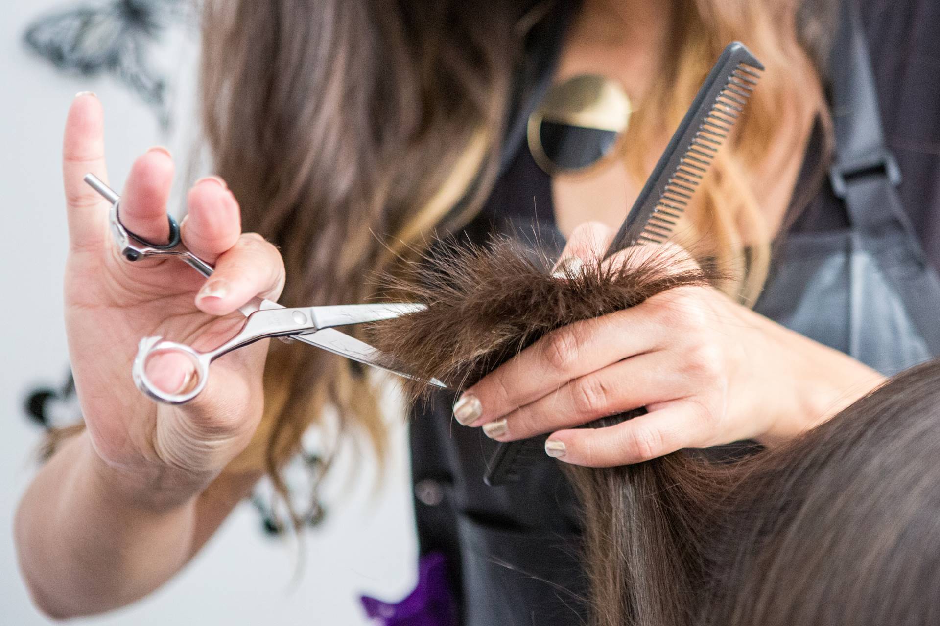 Salon Haarvision - Carina Scheuringer aus Engelhartszell in OÖ